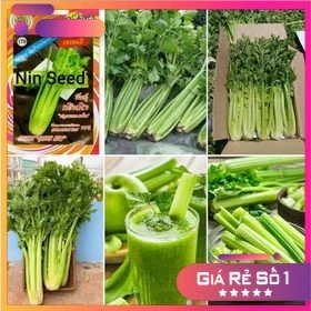 Hạt Giống Cần Tây Mỹ Ngọt 75cm - 1gram