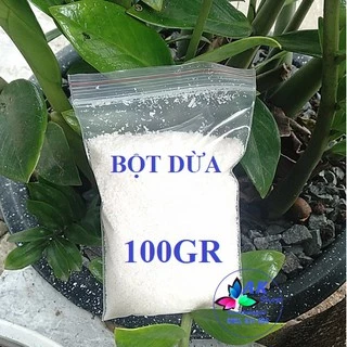 100GR BỘT DỪA SẤY KHÔ