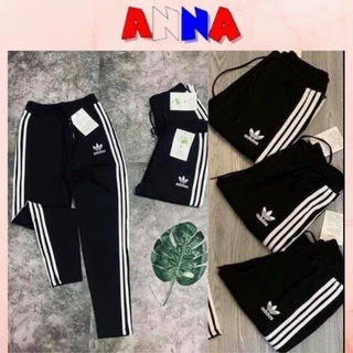 Quần thể thao 3 sọc, dáng quần jogger, chất vải umi dày đẹp ANNA-FASHION