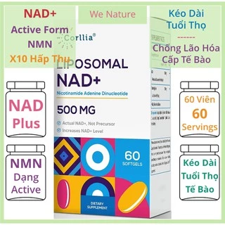 NAD Plus -  NMN 500mg - 60 Viên - Chống Lão Hóa - Sửa Chữa Tế Bào - Nicotinamide Mononucleotide