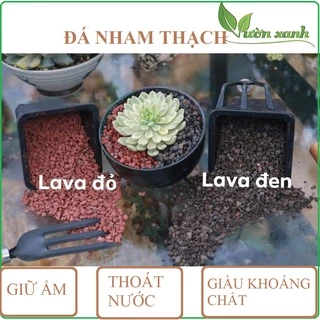 1kg Đá nham thạch Lava Đỏ/ Đen dùng rải gốc, trồng sen đá, xương rồng, bonsai, bể thủy sinh...