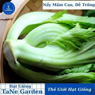 10Gr Hạt Giống Cải Bẹ Dưa Muối  - TaNe Garden