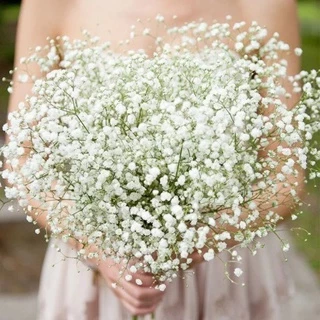 [Bán Chạy] 1 Bó Hoa Gypsophila Nhân Tạo Dùng Để Trang Trí Tiệc Cưới / Làm Đạo Cụ Chụp Ảnh Giáng Sinh