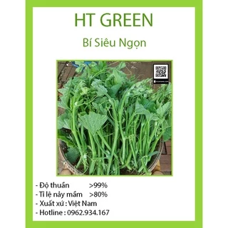 Hạt giống Bí Siêu Ngọn