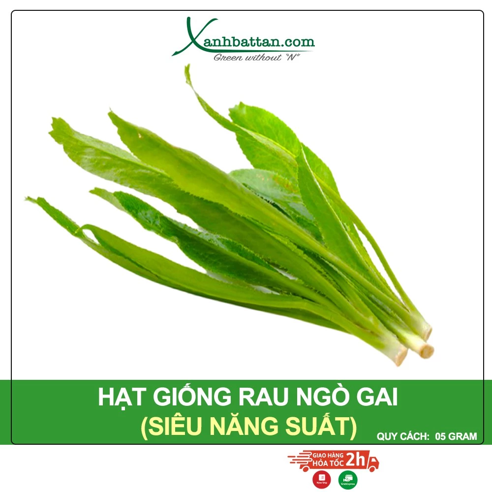 Hạt Giống Ngò Gai Phú Nông Gói 5 Gram