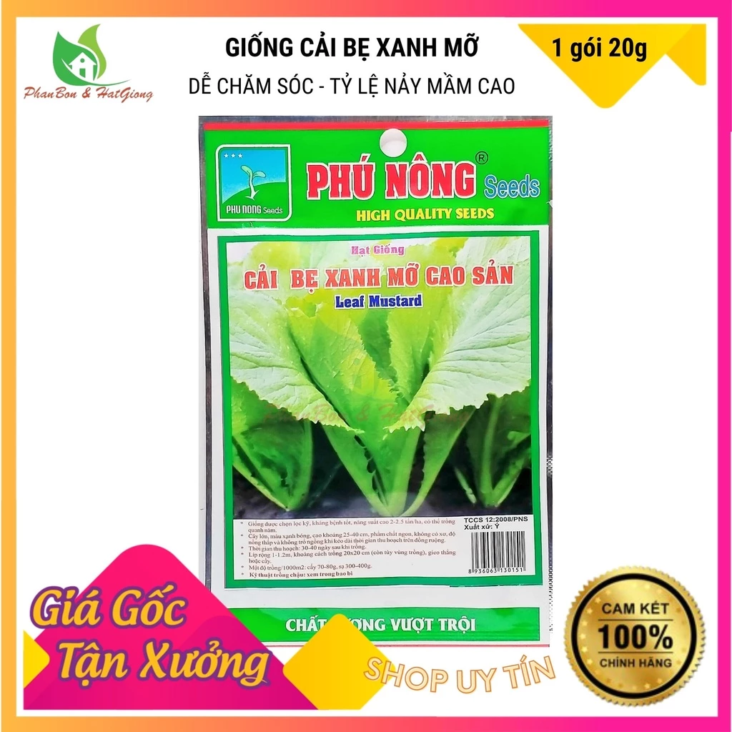 Hạt Giống Cải Bẹ Xanh Mỡ Cao Sản Dễ Trồng, Năng Suất Cao - Phú Nông Seeds - Shop Phân Bón và Hạt Giống