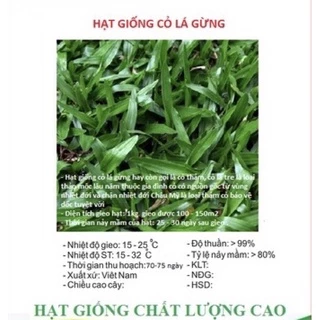 Hạt Giống Cỏ Lá Gừng (Cỏ Lá Tre )- Gói 100 hạt