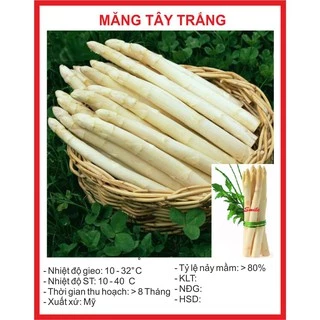 Hạt giống Măng Tây Trắng - 10 Hạt