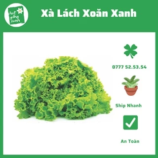 Hạt Giống Xà Lách Xoăn Xanh(5g)