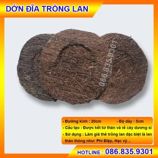 Chậu dớn trồng lan (Đĩa dớn) đường khính khoảng 20cm