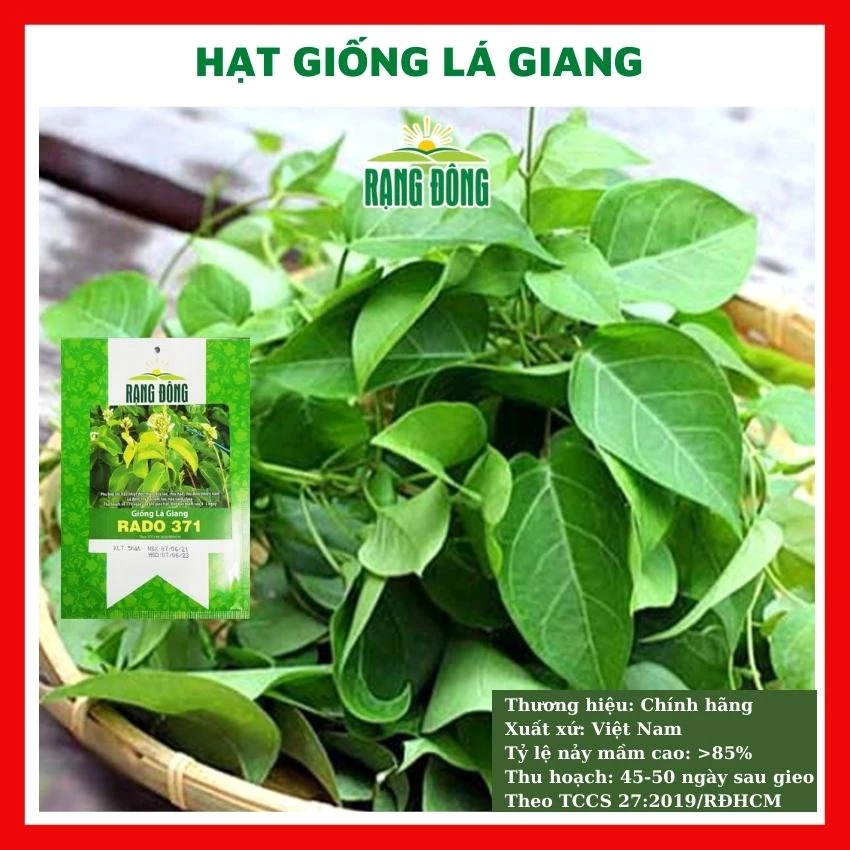 Hạt giống lá giang nấu canh chua - rau củ quả trồng chậu, sân vườn ban công ngon giòn ngọt 5 hạt RADO 371