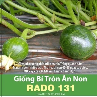 Hạt Giống Bí Tròn Ăn Non Rado 131, đóng gói 5 hạt