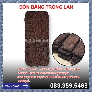 Dớn Bảng Trồng Lan Dài 60cm