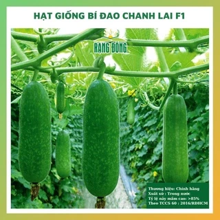 Hạt giống bí đao chanh lai F1 ngon ngọt - rau củ quả trồng chậu 4 mùa chịu nhiệt tỉ lệ nảy mầm cao 0.2gr RADO 0133