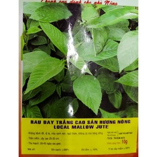 HẠT GIỐNG RAU ĐAY XANH - GÓI 10 GRAM