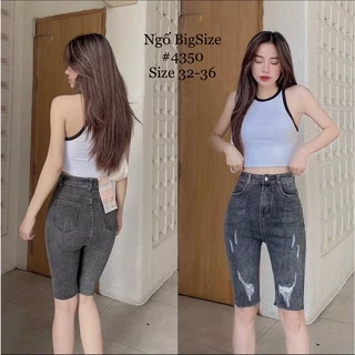 Quần jeans ngố lửng Big Size co dãn mạnh, màu xám rách xước, lưng cao 4352 4350