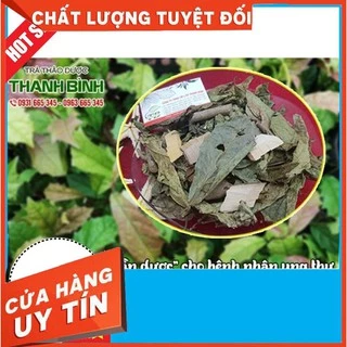 Cây Xạ Đen Khô 1Kg - Chính Gốc Hoà Bình - Lương Y Thanh Bình