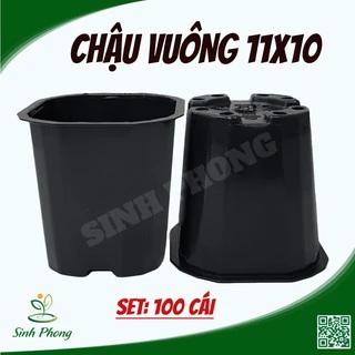 Chậu vuông 11x10 đen (Set 100 cái).