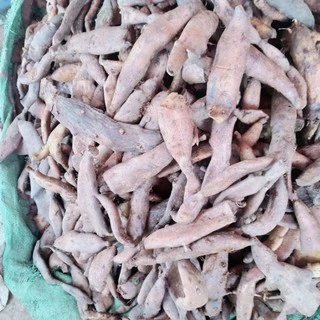 Củ tắc kè đá(1kg)