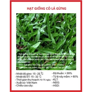 Hạt Giống Cỏ Lá Gừng (Cỏ Lá Tre ) KNS1000 - Gói 100 hạt