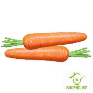 shophouse Gói 300 hạt giống cà rốt đỏ  SHOP HOUSE  TẾT KHUYẾN MẠI