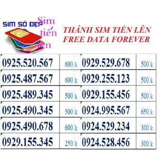 T18. THÁNH SIM SỐ TIẾN LÊN FREE DATA FOREVER