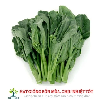 Hạt giống cải làn hoa trắng, cải rổ 10g (thân bụ, ngọt, mềm, không bị sơ)