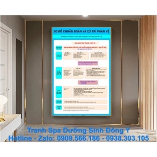 TRANH SPA SƠ ĐỒ CHUẨN ĐOÁN VÀ XỬ TRÍ PHẢN VỆ