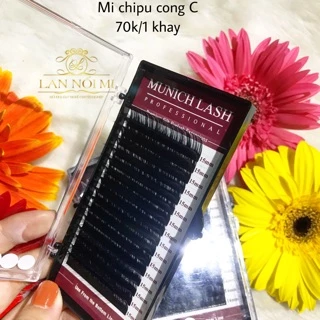 Mi Chipu 0.03 _Sợi Mi Mềm Nhẹ Như Không_Sợi Đen Nhẹ _Không Bóng_Lannoimi