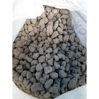 Đá Pumice Indo ( Đá Bọt, Đá Núi Lửa) 1kg - (1 - 2cm) Trồng Cây Cảnh, Hoa Lan