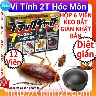 Hộp 12 viên diệt dán diệt gián Nhật.