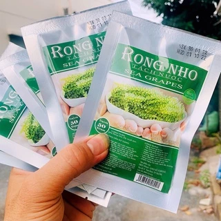 Rong nho gói 100gr - rong nho tách nước + Tặng Xốt mè