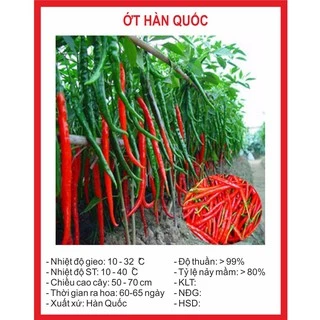 Hạt Giống Ớt hàn Quốc 30 Hạt