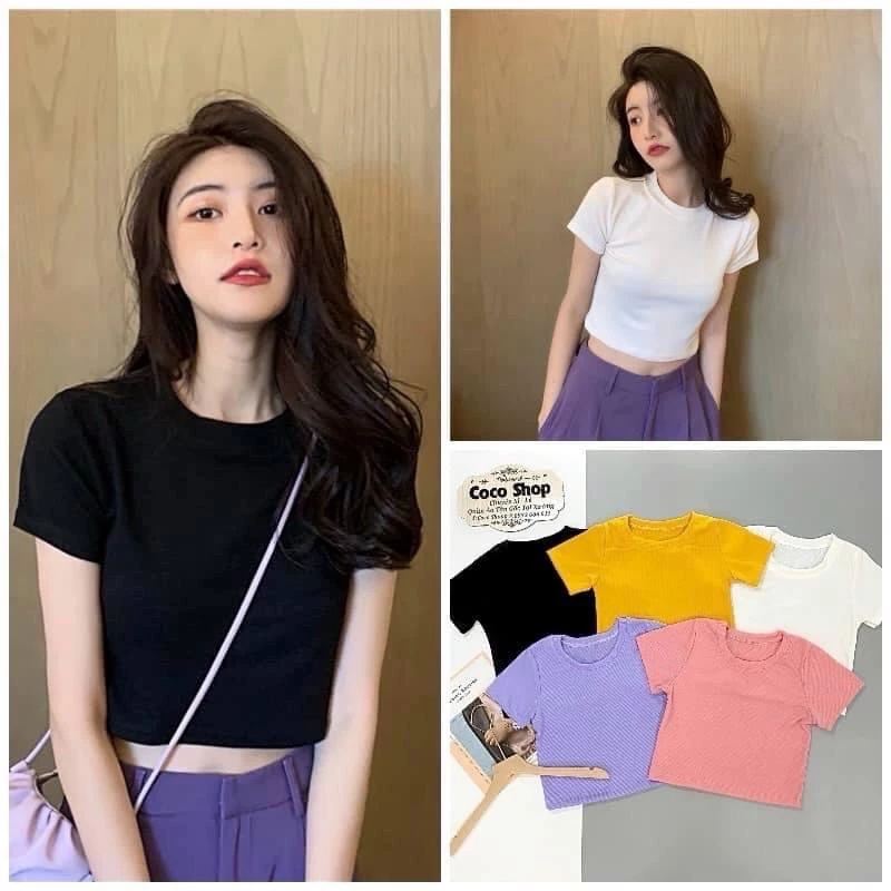 Áo thun cổ tròn croptop tay ngắn basic 5 màu cho nữ
