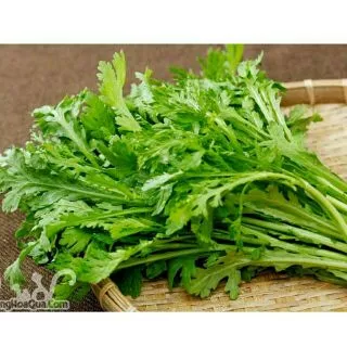 Hạt Giống Rau Tần Ô / Cải Cúc (20 Gr) - Ngọt, Bổ Dưỡng, Giàu dinh dưỡng - MUA 3 TẶNG 1 CÙNG LOẠI