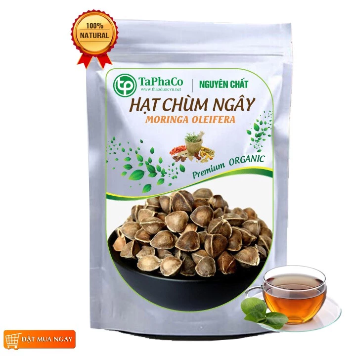 Hạt chùm ngây khô - Tấn Phát