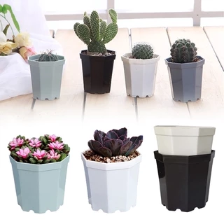 Chậu Hoa Để Bàn Mini Bằng Nhựa Trang Trí Nhà Cửa 7x7cm