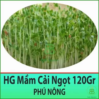 Hạt Giống Rau Cải  Mầm Trắng Phú Nông  - hạt giống chất lượng cao