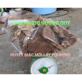 (ẢNH THẬT) HUYẾT GIÁC NGUYÊN BẢN (500 GRAM)