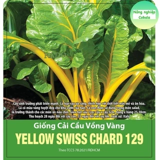 Hạt Giống Cải Cầu Vòng Vàng (129) 10gr