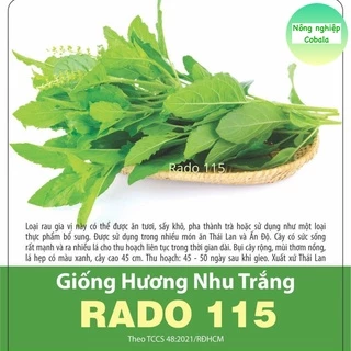 Hạt Giống Hương Nhu Trắng (RADA115) 1gr