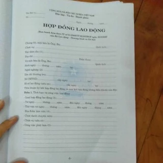 Hợp đồng lao động ( 50 bộ)