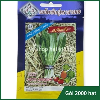 Hạt giống rau mùi tầu (ngò gai) Thái Lan gói 2000 hạt