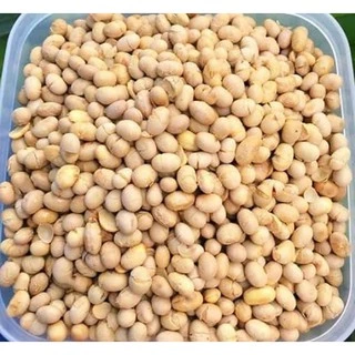 đậu nành sấy - giá sỉ - 500g