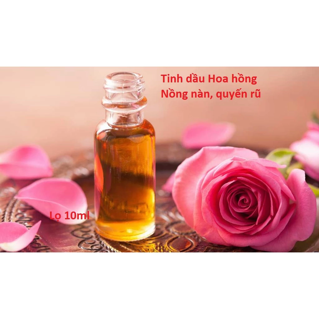 Tinh dầu hoa hồng nguyên chất lọ 10ml