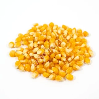 Ngô nổ Popcorn Mỹ (500g)