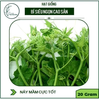 Hạt giống Bí Siêu Ngọn 20 gr