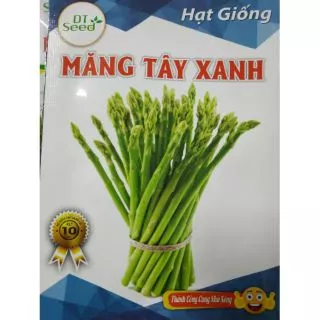 Hạt giống măng tây xanh - Rau củ quả trồng tại vườn, sân thượng, nông trang, ban công