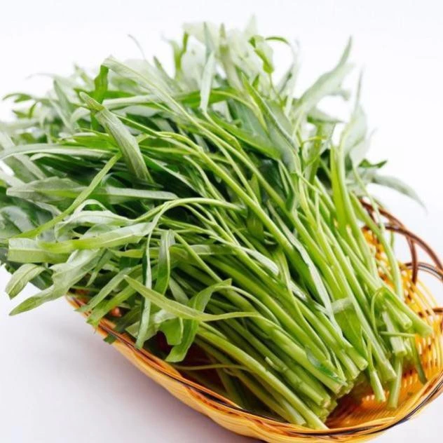 30 gr hạt giống rau muống