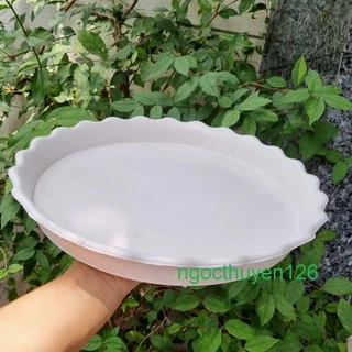 Bộ 5 đĩa lót chậu cây lớn màu trắng đường kính 30cm